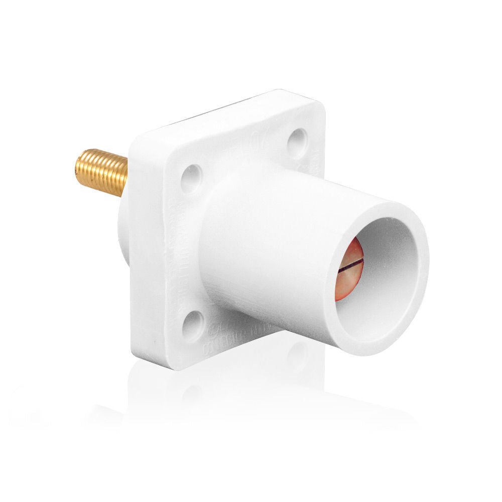 Leviton 16R23-1UW Receptacle