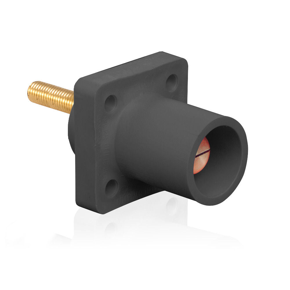 Leviton 16R23-4UE Receptacle