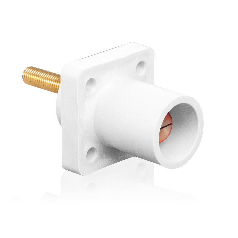 Leviton 16R23-4UW Receptacle