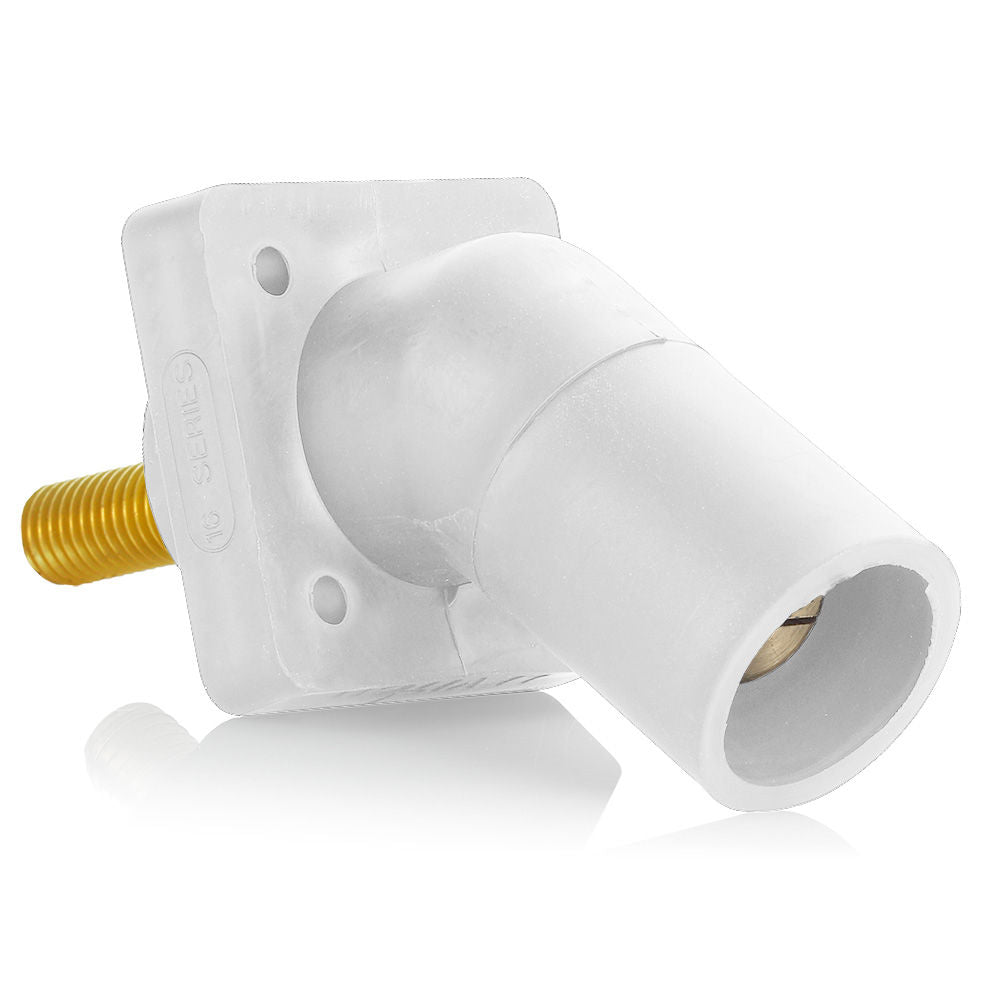 Leviton 16R29-1UW Receptacle