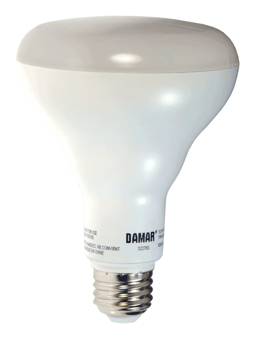 Damar 32276S LED BR Bulb