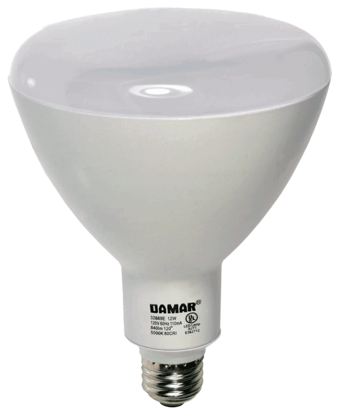 Damar 32889E LED BR Bulb