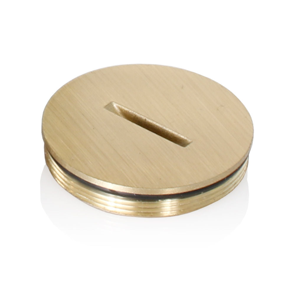 Leviton 5249-CAP Decora Device