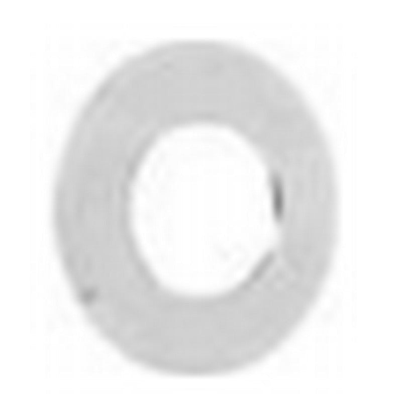 Westgate Stainless Steel Stainless Steel Round Trim for 3W IGL In-Ground Fixture IGL-3W-TRM-SS-R