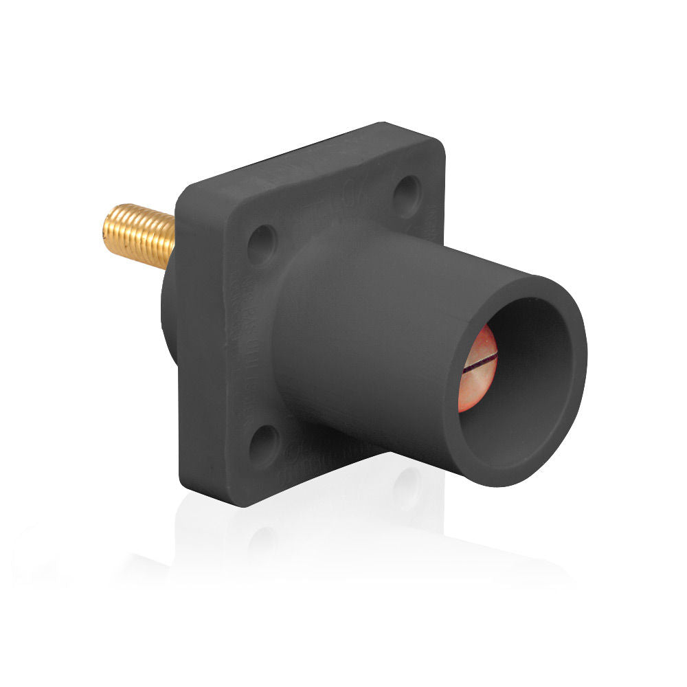 Leviton 16R23-1UE Receptacle