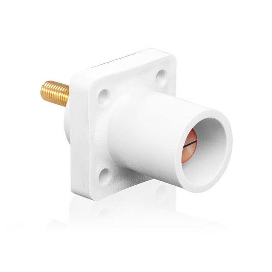 Leviton 16R23-1UW Receptacle
