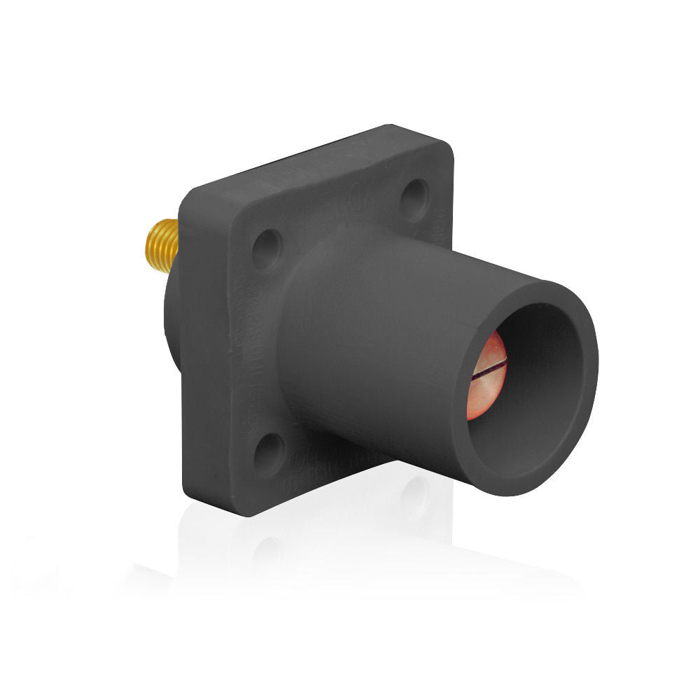 Leviton 16R23-UE Receptacle