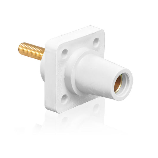 Leviton 16R24-4UW Receptacle