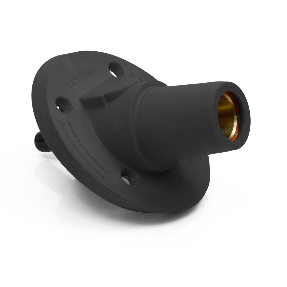 Leviton 17R24-SE Receptacle