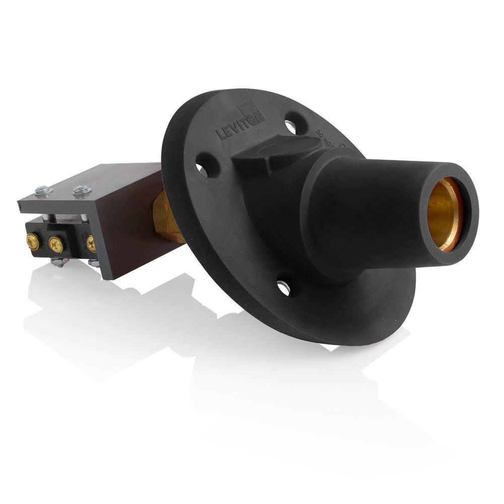 Leviton 17RSW-SE Receptacle