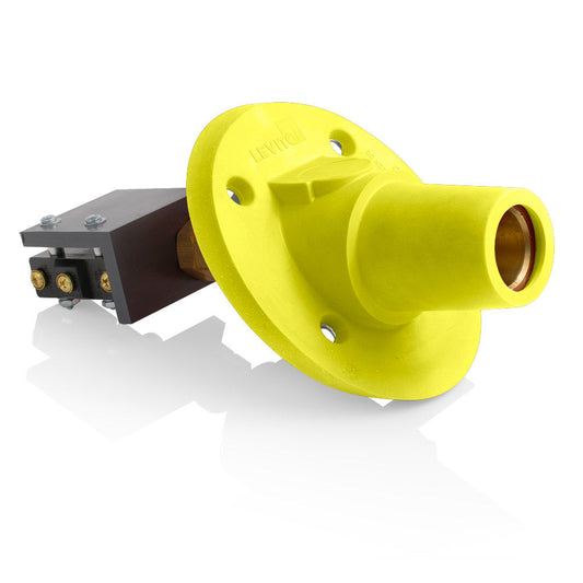 Leviton 17RSW-SY Receptacle