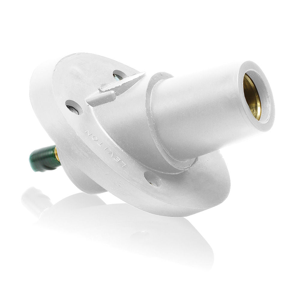 Leviton 23R24-SW Receptacle
