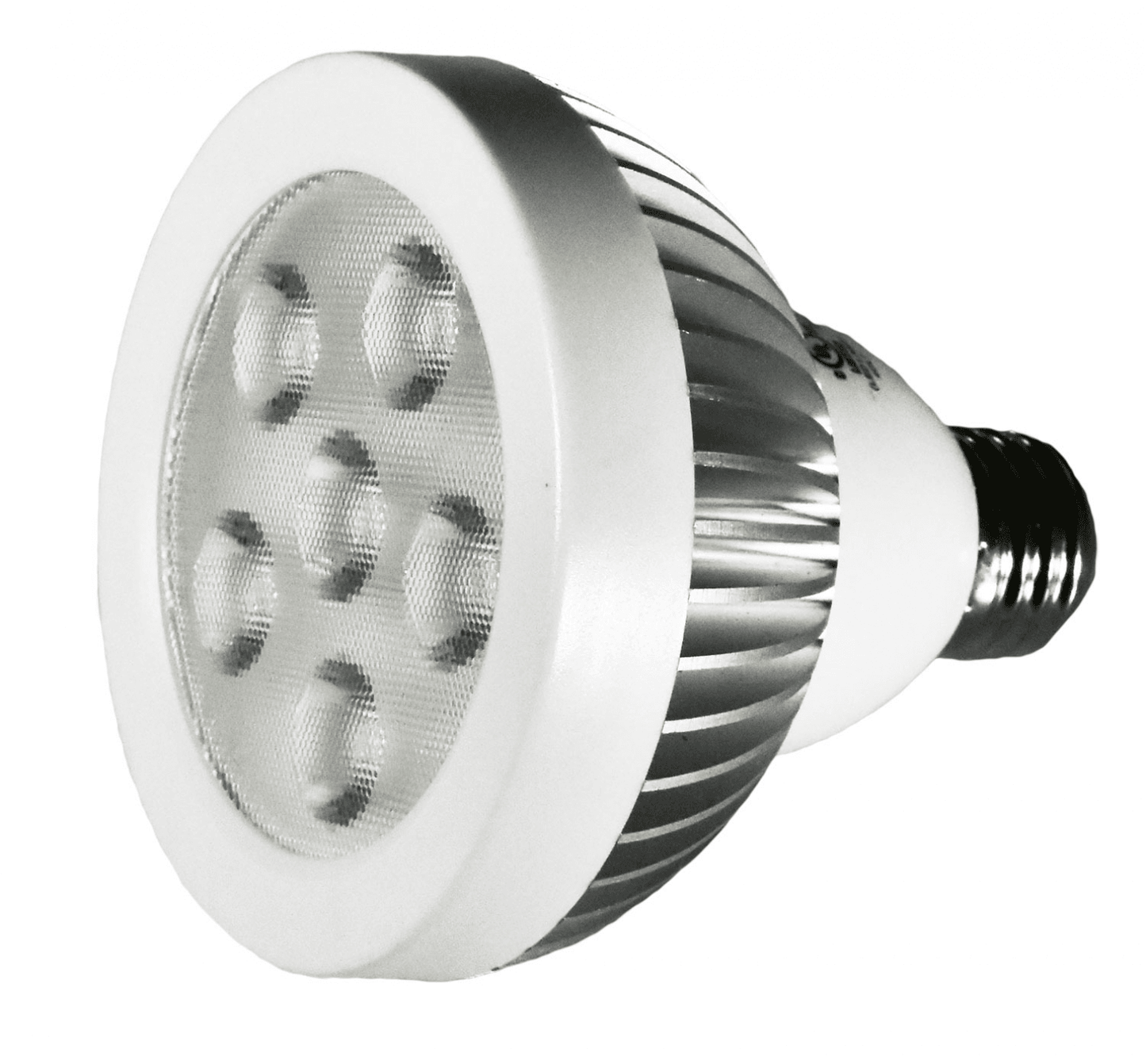 Damar 31195A LED PAR30 Bulb