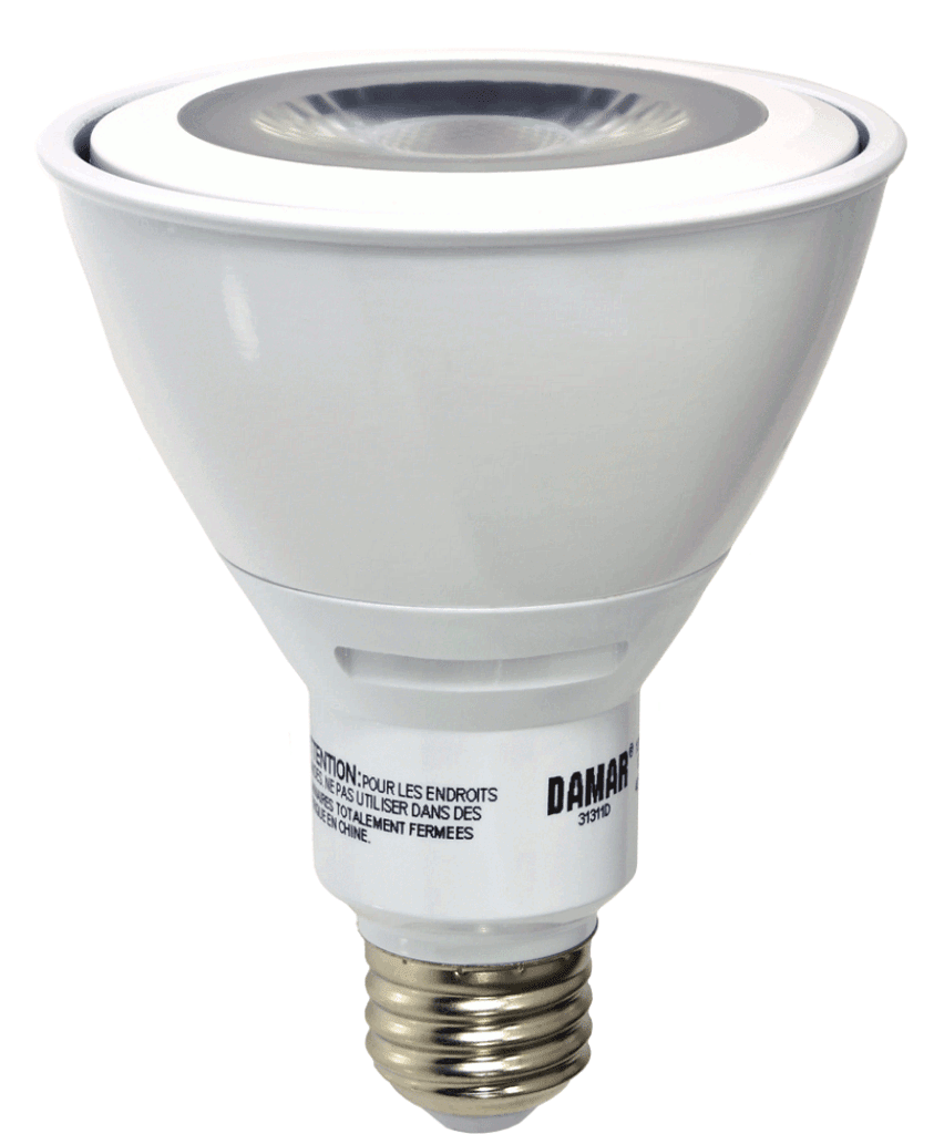 Damar 31311D LED PAR30 Bulb