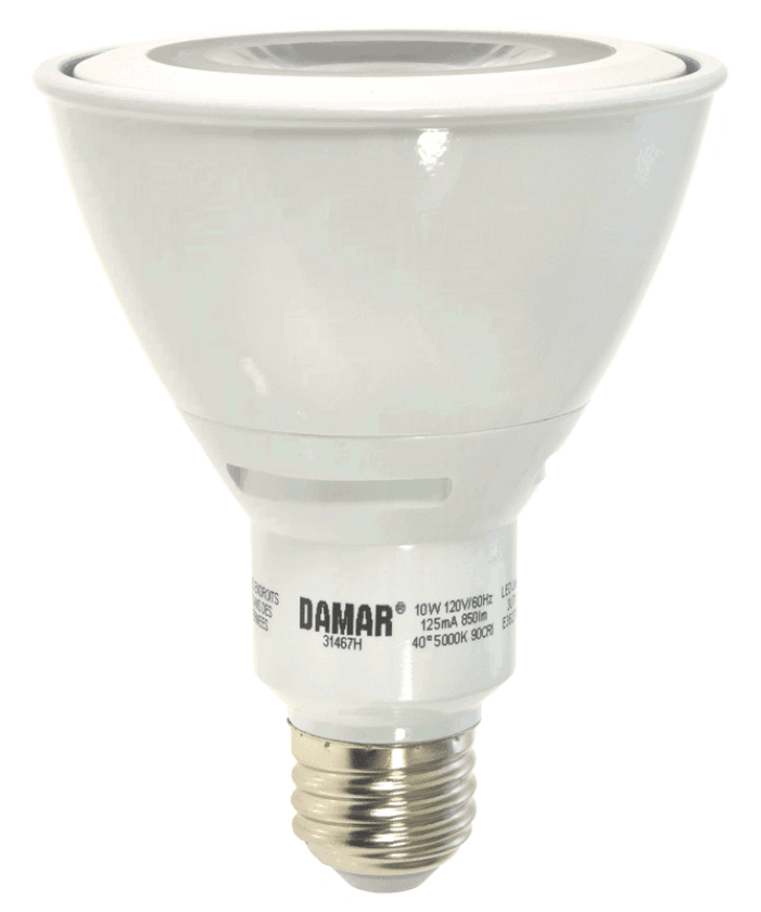 Damar 31467H LED PAR30 Bulb