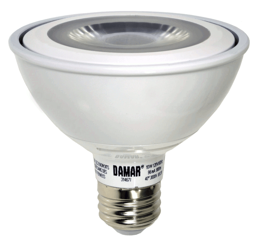 Damar 31467I LED PAR30 Bulb