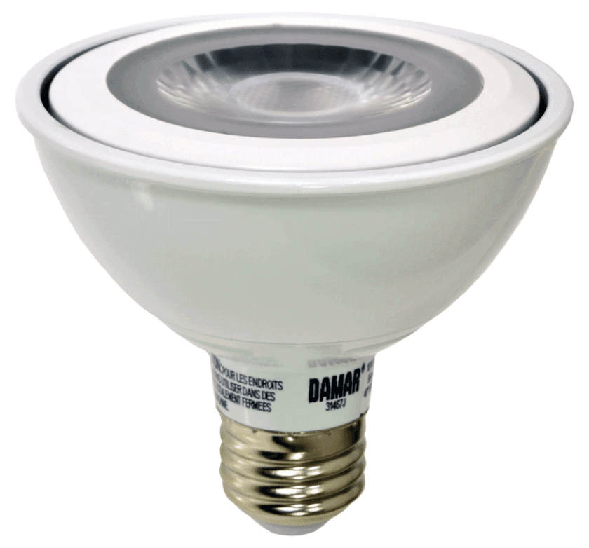 Damar 31467J LED PAR30 Bulb