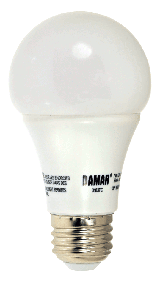 Damar 31637C LED A-Line Bulb