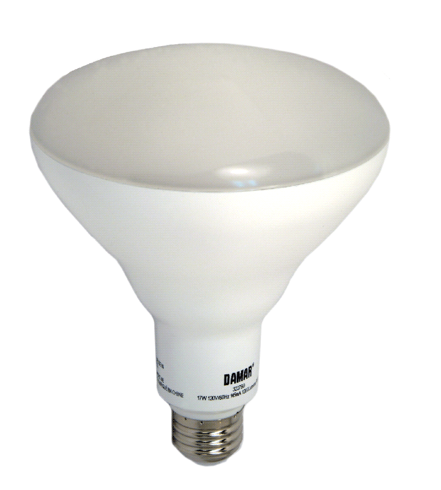 Damar 32276G LED BR Bulb