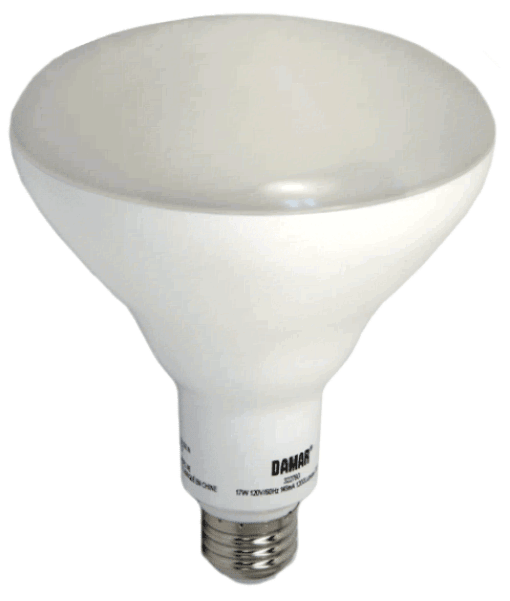 Damar 32276K LED BR Bulb