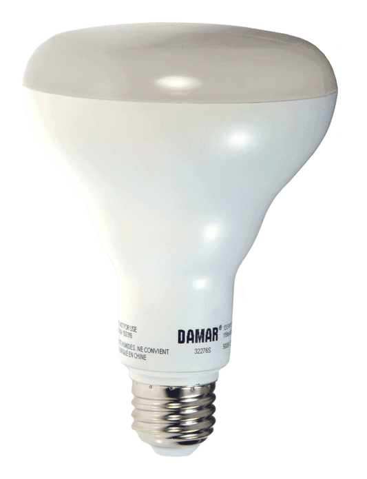 Damar 32276S LED BR Bulb