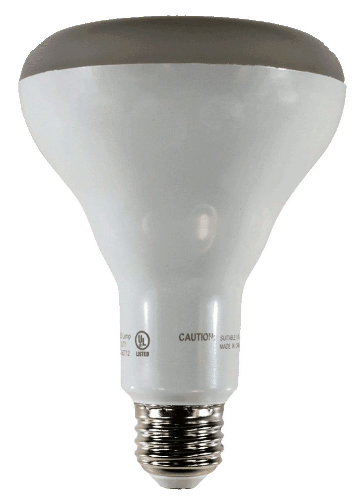 Damar 34164D LED BR Bulb