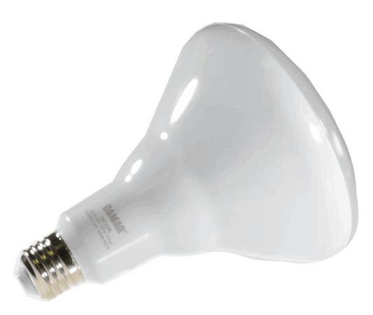 Damar 34723A LED BR Bulb