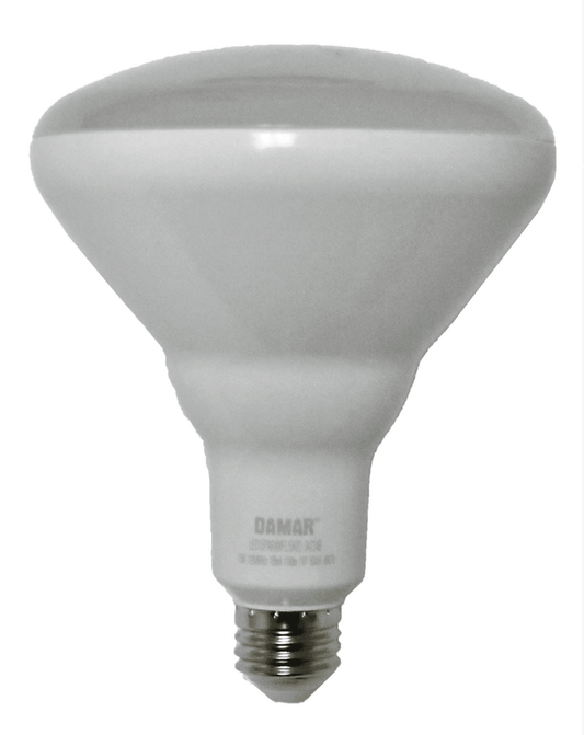 Damar 34724B LED BR Bulb