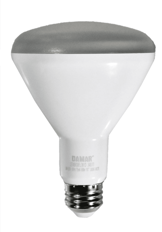 Damar 34807D LED BR Bulb