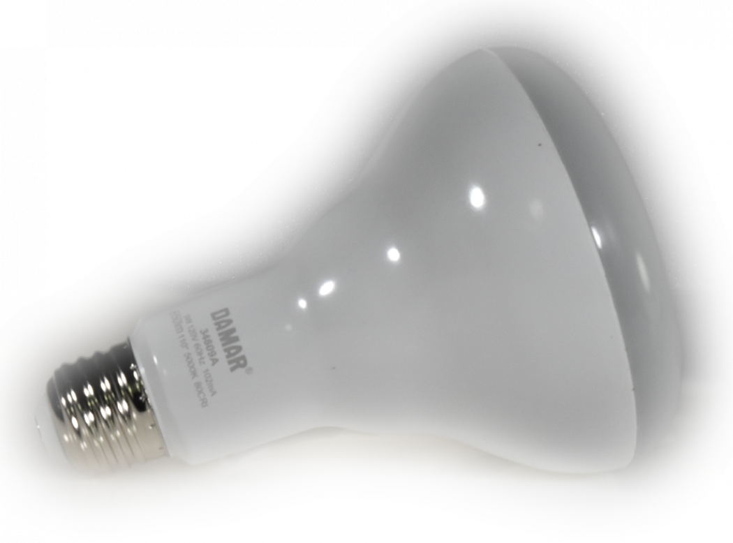 Damar 34809A LED BR Bulb