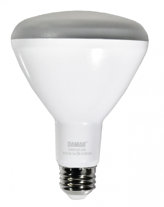 Damar 34809D LED BR Bulb