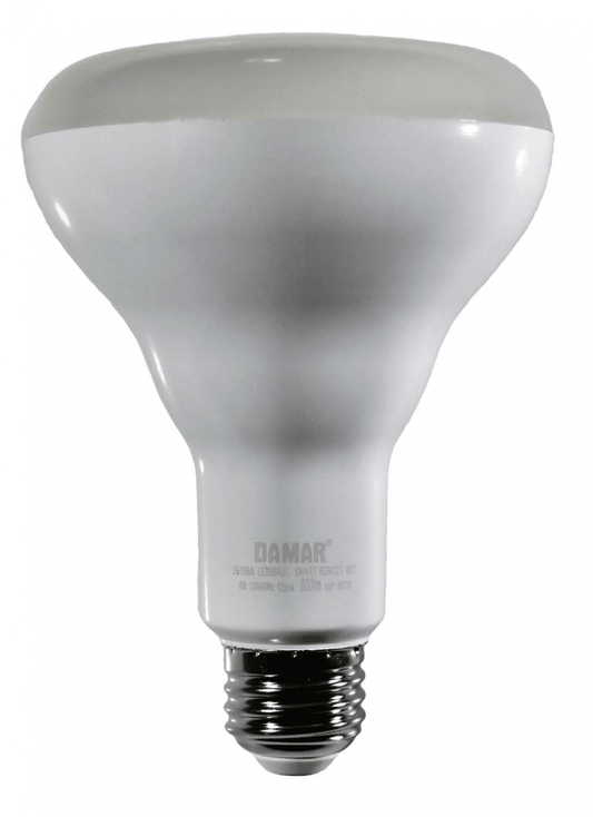 Damar 36196A LED BR Bulb