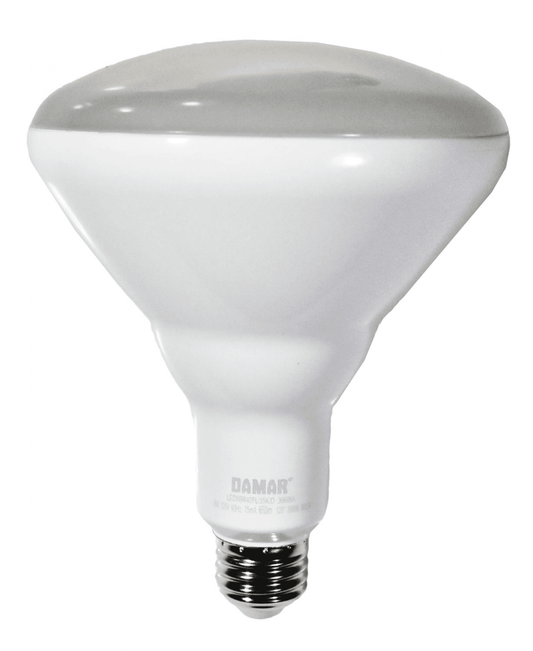 Damar 36695A LED BR Bulb