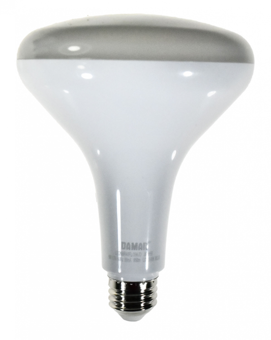 Damar 36695B LED BR Bulb