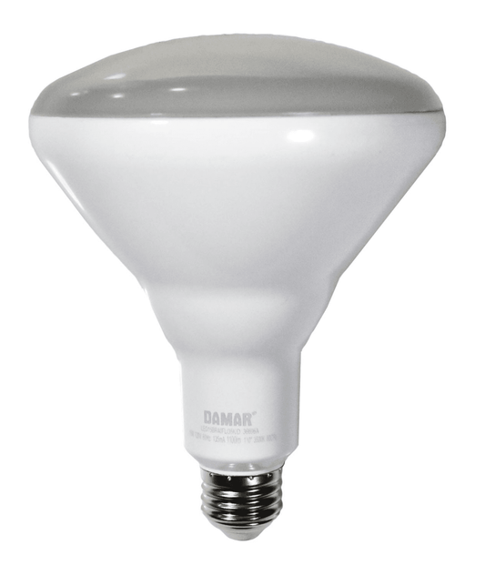 Damar 36696A LED BR Bulb