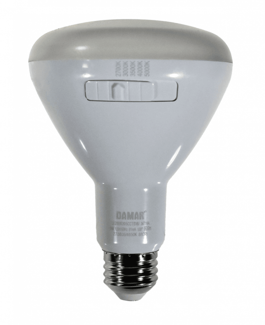 Damar 36719A LED BR Bulb