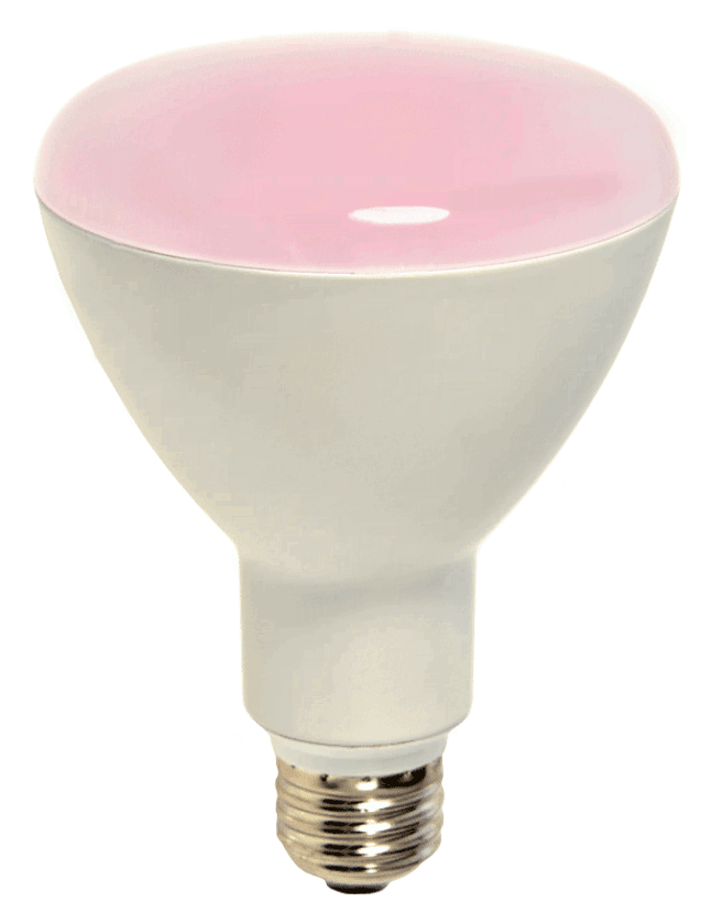 Damar 38719A LED BR Bulb