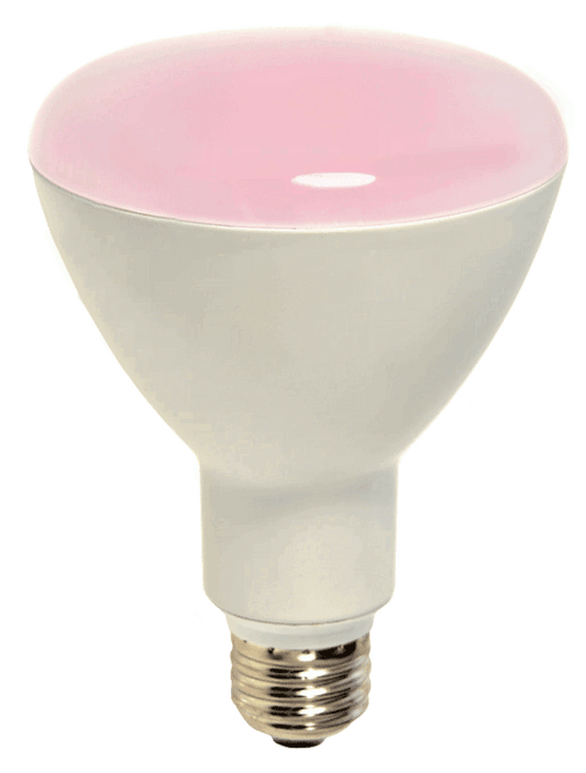 Damar 38719A LED BR Bulb