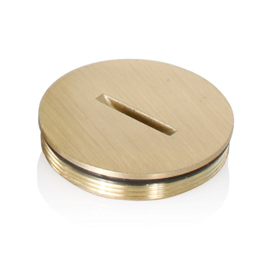 Leviton 5249-CAP Decora Device
