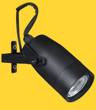 Corona Lighting CL-100-BK Landscape Fixture
