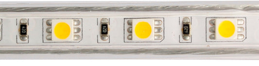 ELCO Lighting EDF21WW Flat LED Rope Light 3W/ft Per Ft