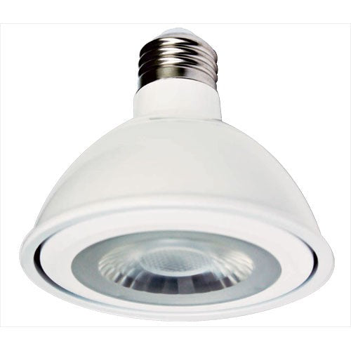 ELCO Lighting 10W 800 lm Dimmable Lighting Accessory PAR30FSLD
