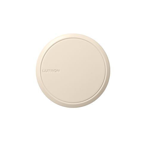 Lutron RCL-RK-LA Control Accessory