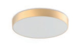 Westgate 120V LED Flush Mount Light FEL-R6-TRM-GD