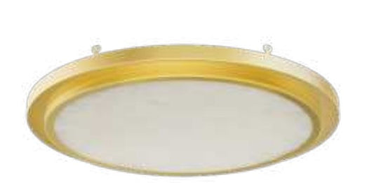 Westgate 120V LED Flush Mount Light FMLB-R12-TRM-ALAB-GD
