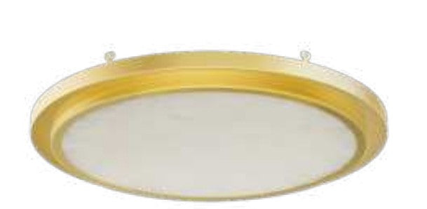 Westgate 120V LED Flush Mount Light FMLB-R9-TRM-ALAB-GD