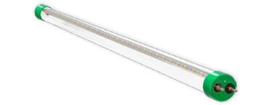Westgate 2 ft 120-277V 10W 1250LM 5000K G13 LED T8 Tube Lamp T8-EZ6-GS-2FT-10W-50K-C
